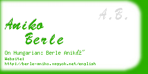 aniko berle business card